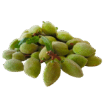 Untitled-1_0002_WEBSITE PHOTOS_page-0001