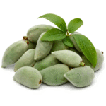 Untitled-1_0002_WEBSITE PHOTOS_page-0001