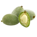 Untitled-1_0002_WEBSITE PHOTOS_page-0001