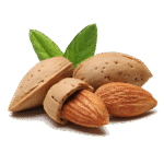 Untitled-1_0001_WEBSITE PHOTOS_page-0002